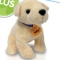 Free Andrex Cuddly Puppy