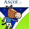 Free Kid's Binoculars, Badge & Pen