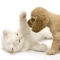 Free Swedish Pet Food