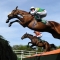 Free &pound;20 Bet On The Grand National