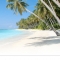 Free Stuff From Expedia