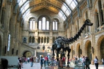 National History Museum