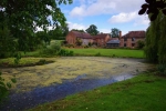 Coddington Vineyard, Ledbury