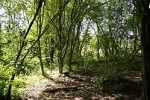 Milton Country Park, Cambridgeshire