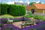 Norfolk Lavender Ltd
