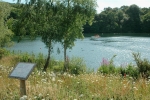 Decoy Country Park, Newton Abbot