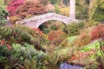 Royal Botanic Garden, Edinburgh