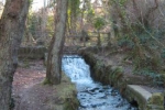 Stricklands Glen, Bangor