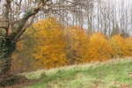 Lagan Valley Regional Park