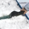 Free Ice Scraper