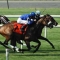 Free Tickets to Ascot Horse Racing