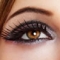 Free False Eyelashes