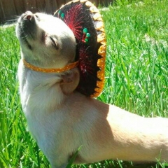 23 ways to instantly make your day better