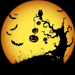 Halloween Cat-mares