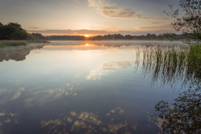 free-day-out-surrey-frensham-pond