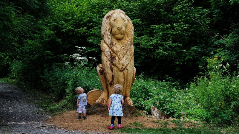 free-day-out-surrey-banstead-woods