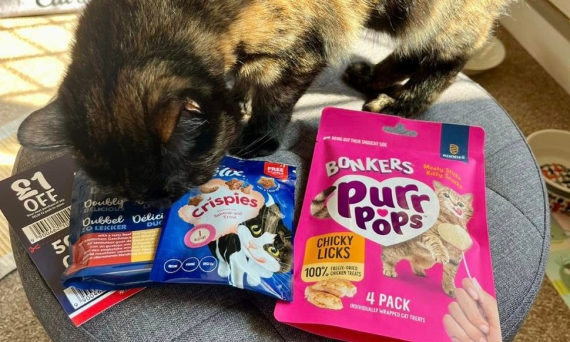 Cat sniffing pet samples